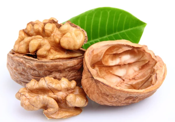 Сухие грецкие орехи с листьями — стоковое фото