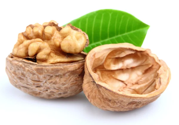 Сушеный грецкий орех с листьями — стоковое фото