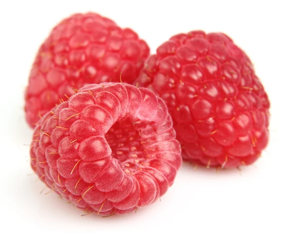 Ripe raspberry in closeup — Stock Photo, Image