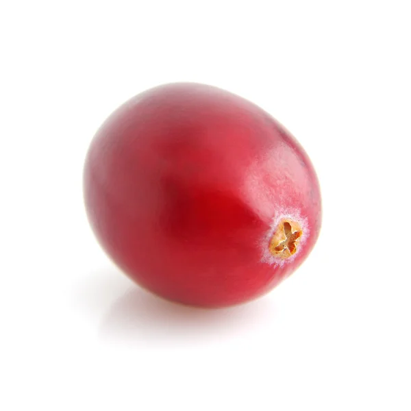 在特写镜头中的一个小红莓 — 图库照片