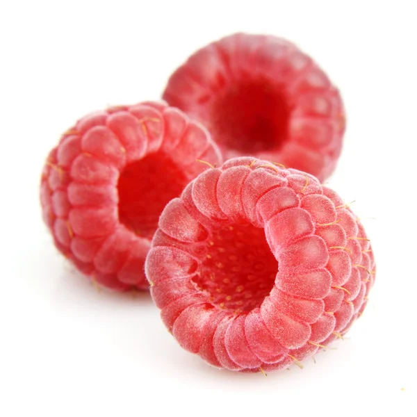 stock image Sweet raspberry in closeup