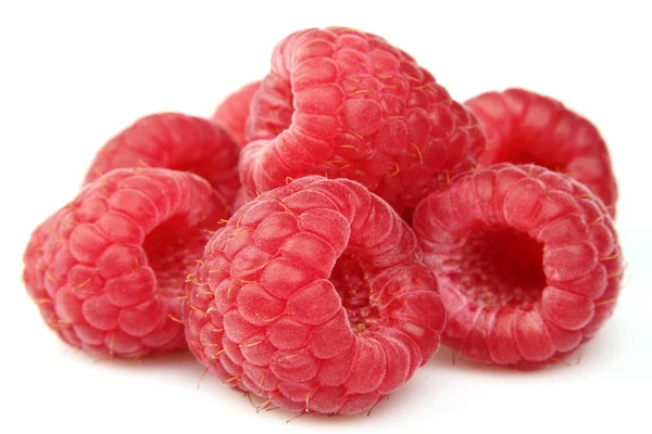 Sweet raspberry — Fotografie, imagine de stoc