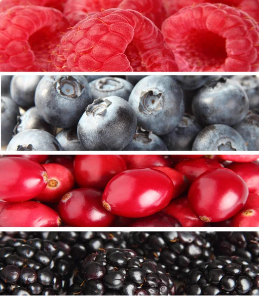 stock image Collage from fresh berries