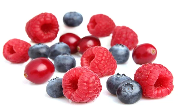 Fresh berries on a white background — Stock Photo, Image