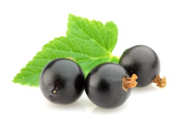 Blackcurrant yaprakları ile