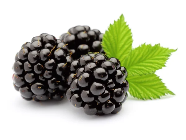 Blackberry with leaves — Stock Photo, Image