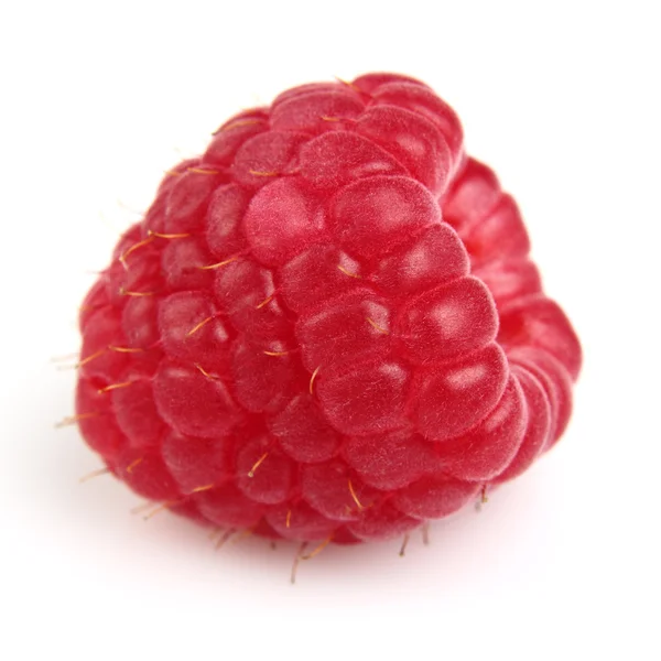 One fresh raspberry — Stock Photo, Image