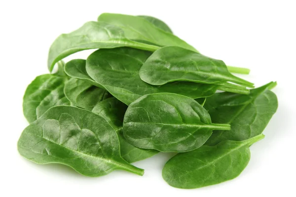 Spinach in closeup — Stock Photo, Image