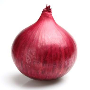 Red onion clipart