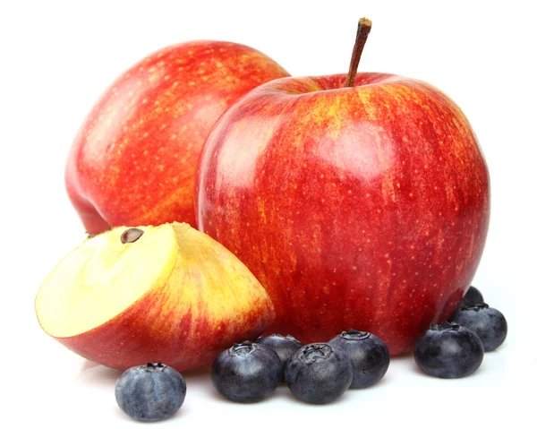 Apples with blueberry — Stock Photo, Image