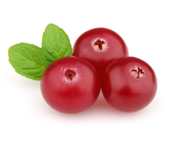 Cowberry with mint — Stock Photo, Image