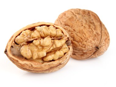Dried walnuts clipart