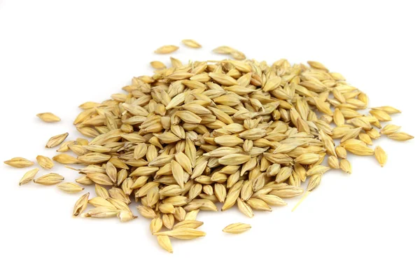 Heap of oats grain — Stock Photo, Image