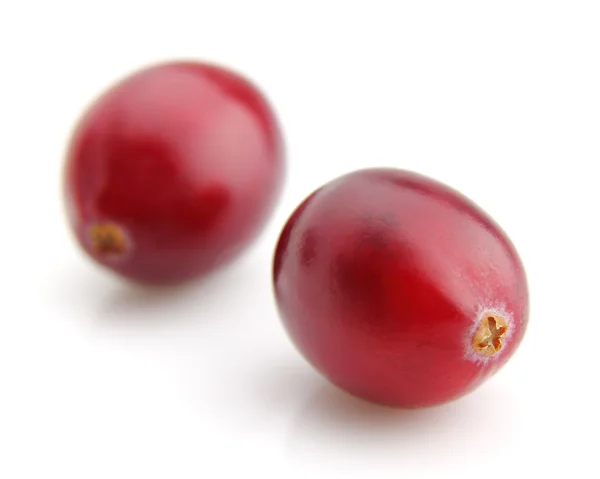 Cranberry in closeup — Stock Photo, Image