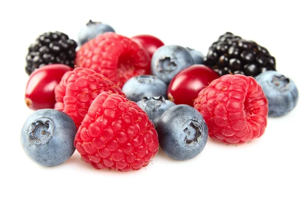 Fresh berries in closeup — Stock Photo, Image