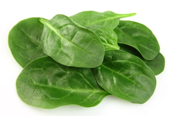 Frische Blätter von Spinat — Stockfoto