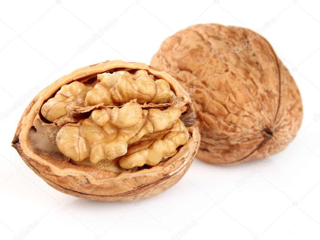 Dried walnuts