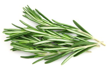 Twig of rosemary clipart