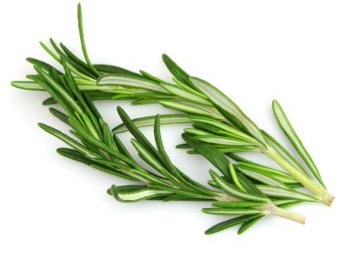 Rosemary spices clipart