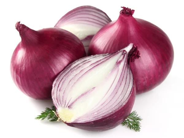 Onion with fennel — Stock Photo, Image