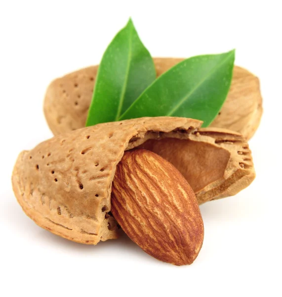 Almonds in closeup — Stock Photo, Image