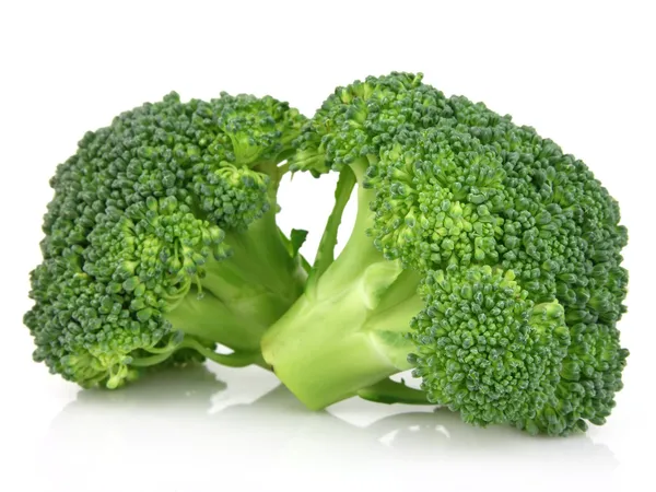 Egészséges brokkolit — Stock Fotó