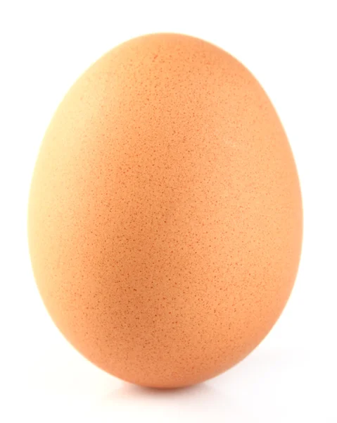 stock image One egg in closeup