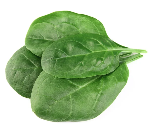 Blätter von Spinat — Stockfoto