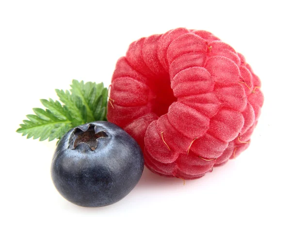 Ripe raspberry with blueberry — Stock Photo, Image