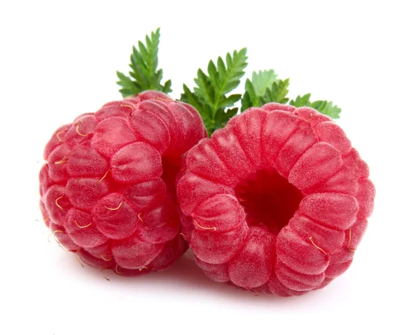 Сочные ягоды — стоковое фото