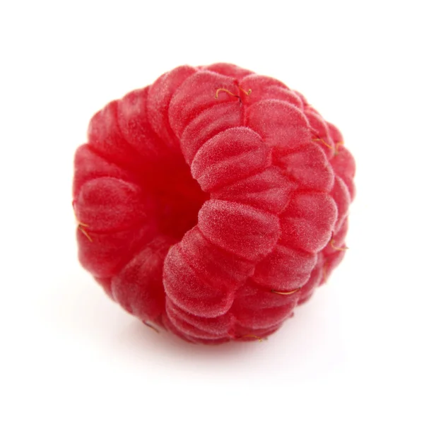 One fresh raspberry — Stock Photo, Image