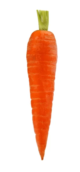Uma cenoura em close-up — Fotografia de Stock