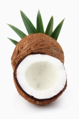 Coconut with leaves clipart