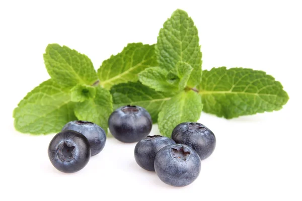 蓝莓薄荷 — 图库照片