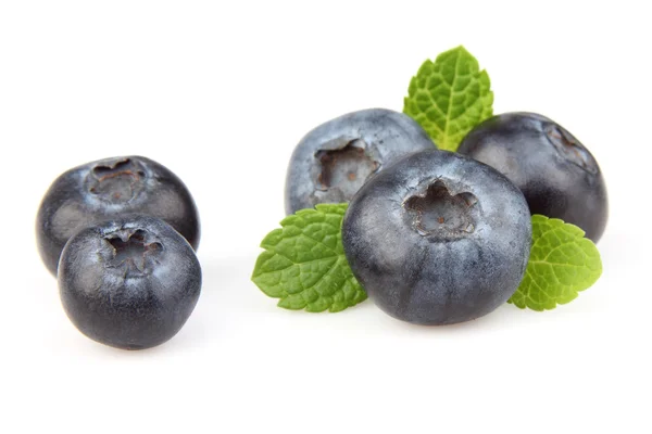 蓝莓薄荷 — 图库照片