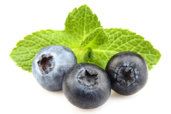 Ripe berry with leaves of mint — 스톡 사진