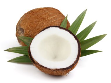 Coconut with leaves clipart