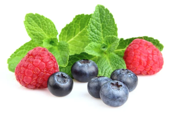 Berry met takjes munt — Stockfoto