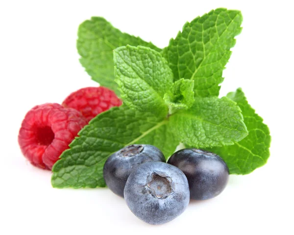Mint with fresh berry — Stock Photo, Image