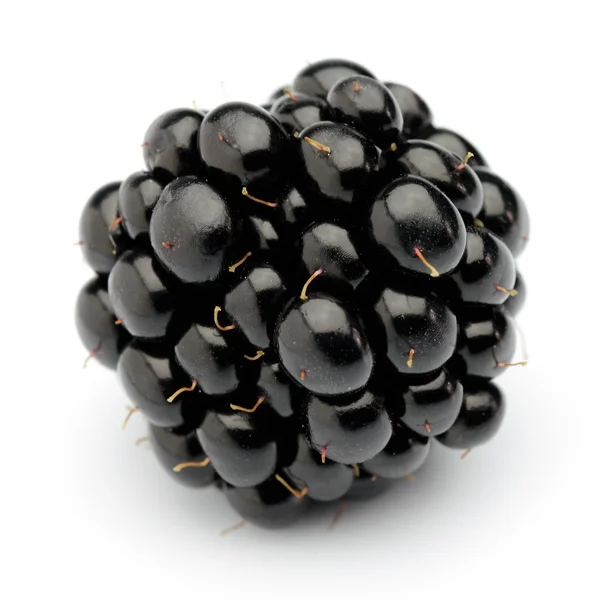 One blackberry in closeup — Stock Photo, Image