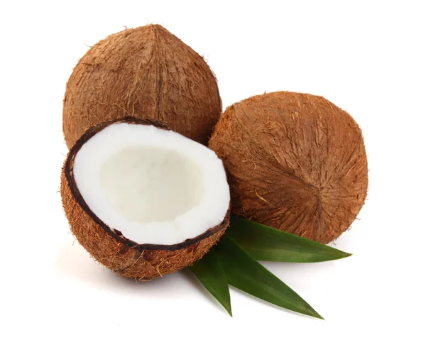Słodki kokosowy z liści — Zdjęcie stockowe