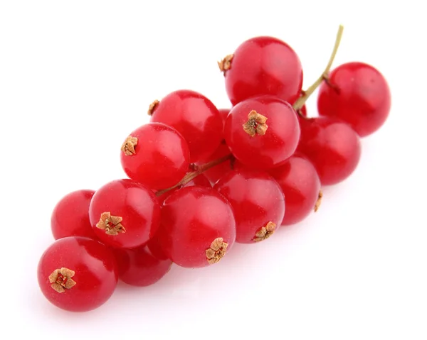 Sweet currant in closeup — Stock Photo, Image