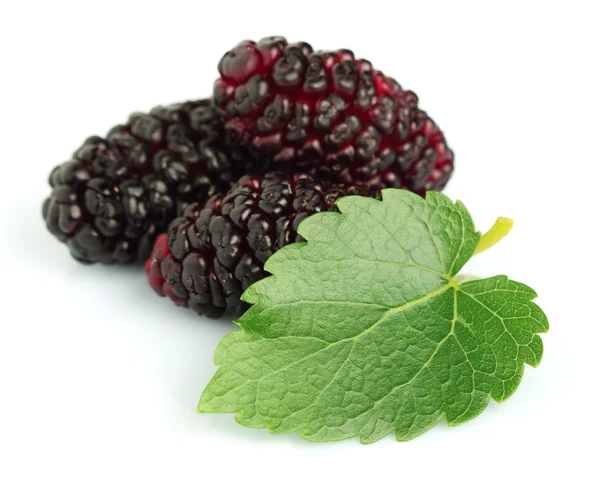 Mulberry with leaves — Stock Photo, Image