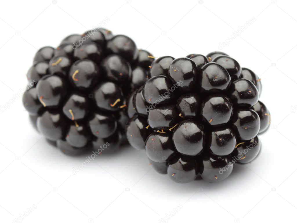Two blackberries on a white background