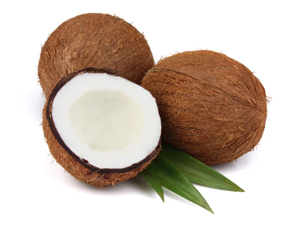 Kokosnöt med blad — Stockfoto