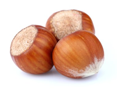 Hazelnuts in closeup clipart