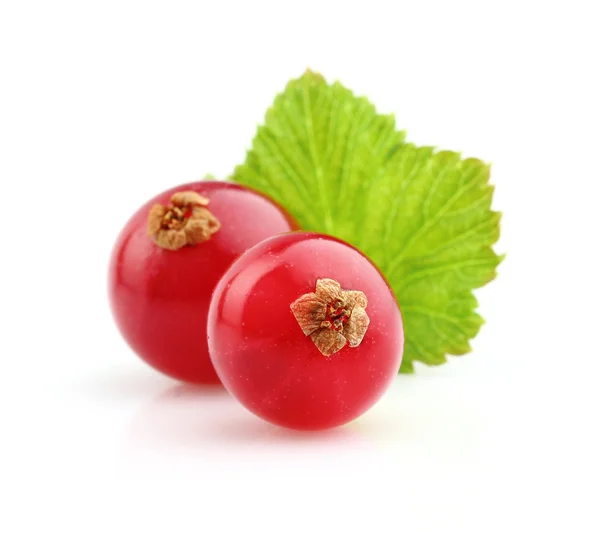 Ripe berry of currant with leaf — Stock Photo, Image