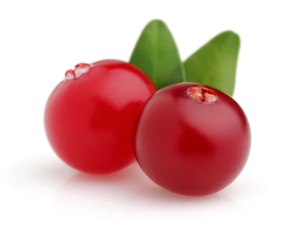 Cranberry with leaves — Stock Photo, Image