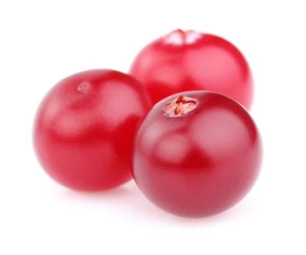 Ripe cranberry in closeup — Stock Photo, Image