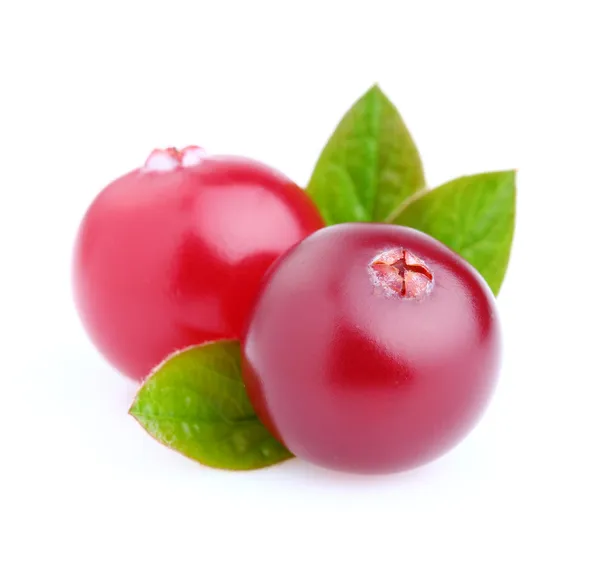 Cranberry cu frunze — Fotografie, imagine de stoc